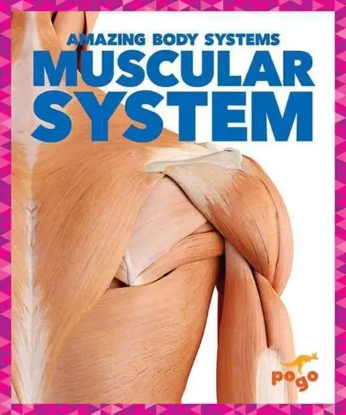 Muscular System - Karen Kenney