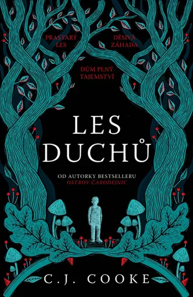 Les duchů - Carolyn Jess Cooke