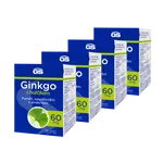 GS Ginkgo 60 mg s hořčíkem, 4 × 90 tablet
