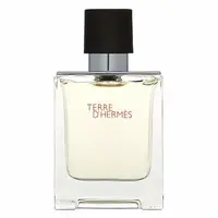 Hermès Terre D'Hermes toaletní voda pro muže 50 ml