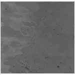 Jangal AKUSTICKÝ PANEL velikost: 52/52/0.7 cm