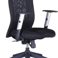 OFFICE PRO Ergonomická kancelářská židle CALYPSO GRAND černá, sezení 8+ hodin denně
