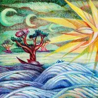 Šamanovo zboží – Zeměkout