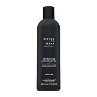 Alfaparf Milano Blends of Many Energizing Low Shampoo posilující šampon pro řídnoucí vlasy 250 ml