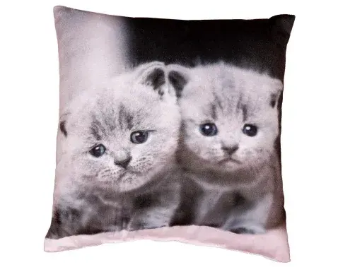 Dekoračný vankúšik Mačičky, 25x25 cm%