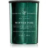 DW Home Charming Farmhouse Winter Pine vonná svíčka 230 g
