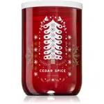DW Home White Wood Cedar Spice vonná sviečka 400 g
