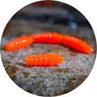 Redbass gumová nástraha trout grub 3x25mm - signal orange uv color