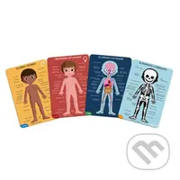 Ľudské telo (Vzdelávacie puzzle) - puzzle z kategorie Naučné puzzle
