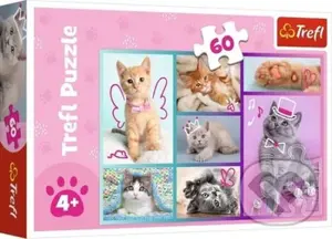 Roztomilá koťátka - puzzle z kategorie 15 - 60 dílků