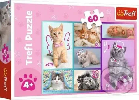 Roztomilá koťátka - puzzle z kategorie 15 - 60 dílků