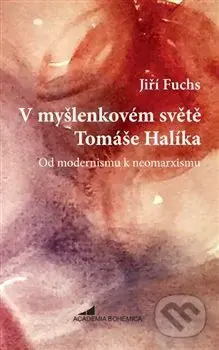 V myšlenkovém světě Tomáše Halíka - Jiří Fuchs - kniha z kategorie Křesťanství