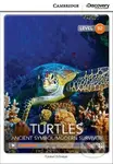 Turtles: Ancient Symbol/Modern Survivor Upper Intermediate Book with Online Access - kniha z kategorie Jazykové učebnice a slovníky