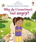 Why do I (sometimes) feel angry? - Katie Daynes, Amy Willcox (ilustrátor) - kniha z kategorie Naučné knihy
