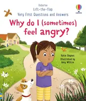 Why do I (sometimes) feel angry? - Katie Daynes, Amy Willcox (ilustrátor) - kniha z kategorie Naučné knihy