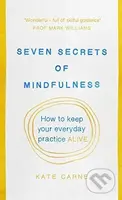 Seven Secrets of Mindfulness (How to keep your everyday practice alive) - kniha z kategorie Motivace a seberozvoj