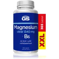 GS Magnesium Citrát + B6 tablety pro podporu snížení míry únavy a vyčerpání, normální stav zubů, kostí a svalů 365 tbl