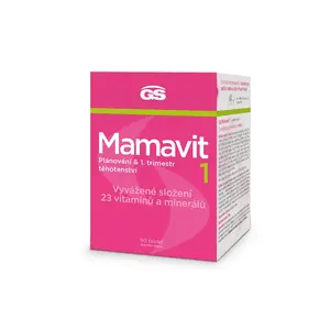 GS Mamavit 1 Plánování a 1.trimestr 90 tablet
