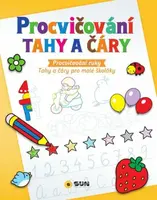 Procvičování - Tahy a čáry (Defekt)