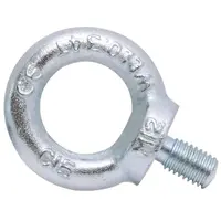 Šroub očkový, 22 DIN 580