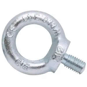 Šroub očkový, 22 DIN 580