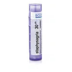Staphysagria 30CH granule 4g