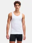 Pánské tílko Under Armour M UA Perf Cotton Tank-2pk - Pánské