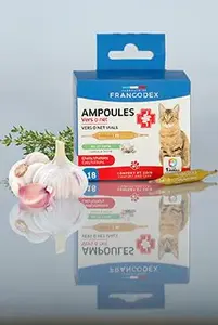 Francodex Intestinal Comfort ampulky kočka kotě18x1ml