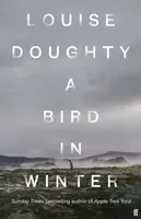 A Bird in Winter - Louise Doughty