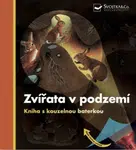 Zvířata v podzemí Kniha s kouzelnou baterkou