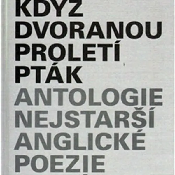 Jako když dvoranou proletí pták - Jan Čermák
