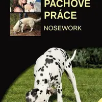 Pachové práce aneb Království vůní - Kvam Anne Lill