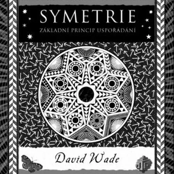 Symetrie - David Wade - e-kniha