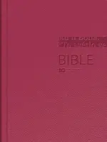 Bible - Český ekumenický překlad bez DT