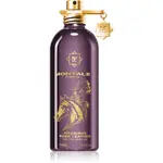 Montale Arabians Rose Leather parfémovaná voda unisex 100 ml