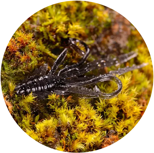 Redbass gumová nástraha nymfa dark black - l 80 mm