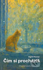 Čím si procházíš - Sigrid Nunez - kniha z kategorie Společenská beletrie