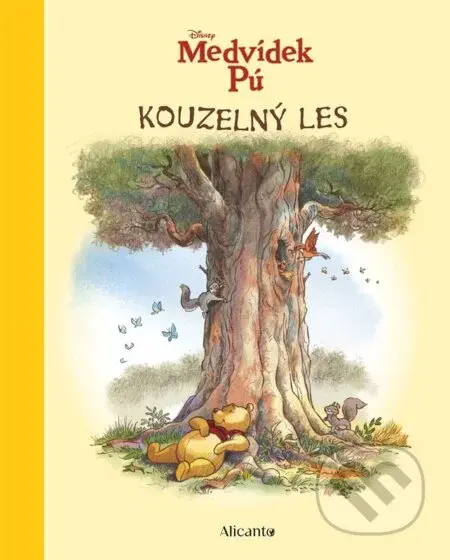 Medvídek Pú - Kouzelný les - Kolektiv