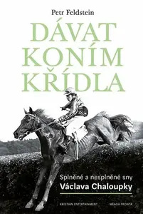 Dávat koním křídla (poškozená) - Petr Feldstein