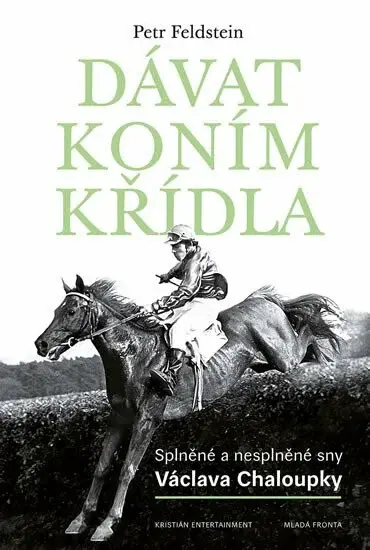 Dávat koním křídla (poškozená) - Petr Feldstein