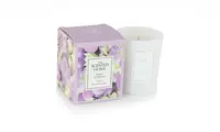 Vonná sviečka THE SCENTED HOME - FREESIA & ORCHID 70g