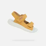Žluté chlapecké sandály Geox Lightfloppy