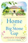 Home to Big Stone Gap - Adriana Trigiani