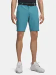 Pánské šortky Under Armour UA Drive