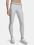 Legíny Under Armour UA Tech Branded
