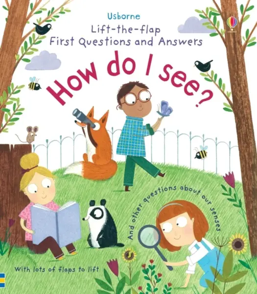 First Questions and Answers: How do I see? - Katie Daynes