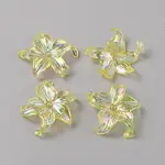 Transparent Acrylic Beads