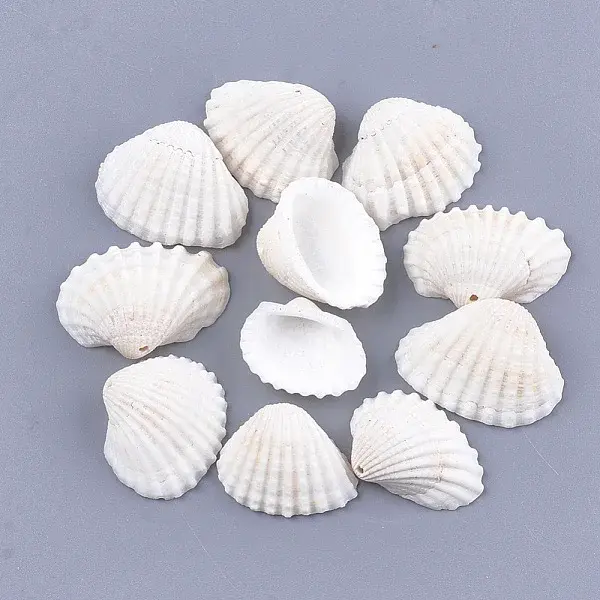 Clam Shell Pendants