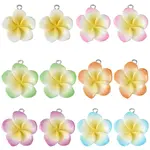 24Pcs 6 Colors Resin Pendants