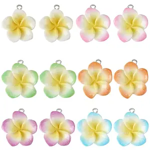24Pcs 6 Colors Resin Pendants